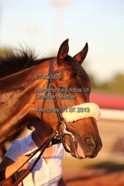 ET0Q0929 prot