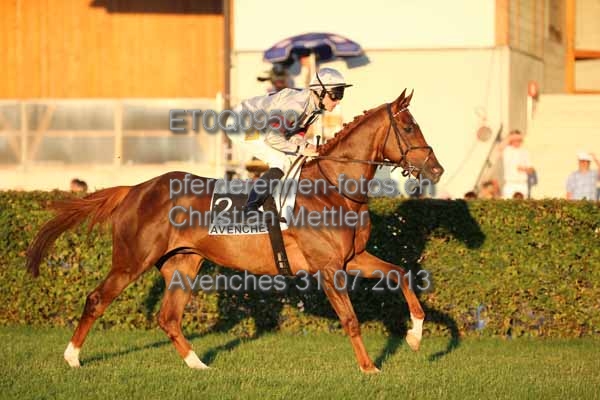 ET0Q0950 prot