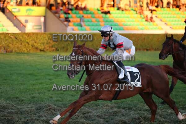 ET0Q1020 prot