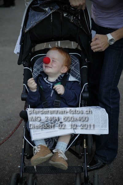 IMG 2404 600x400 prot