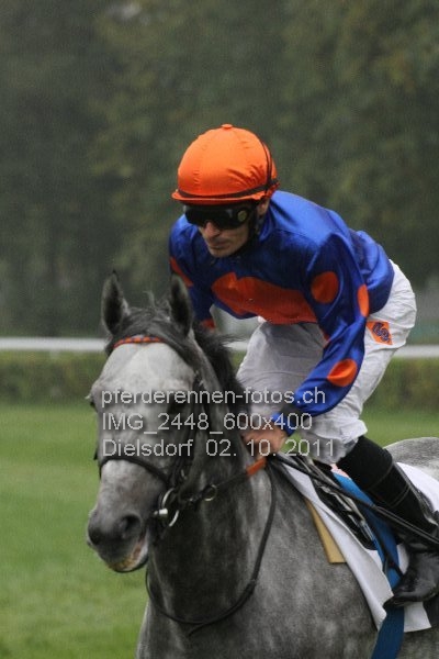 IMG 2448 600x400 prot