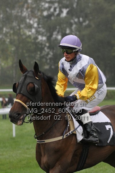 IMG 2452 600x400 prot
