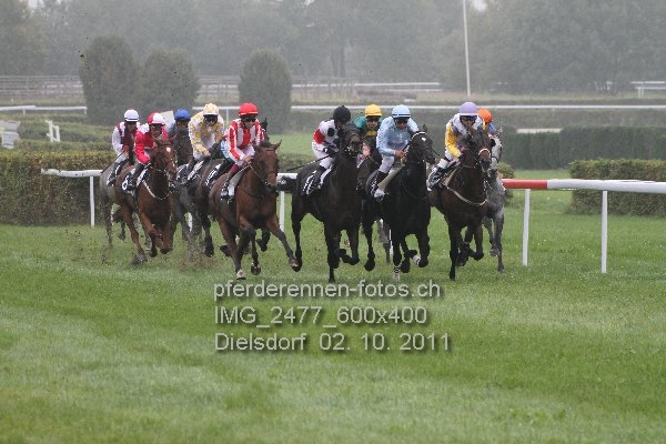 IMG 2477 600x400 prot