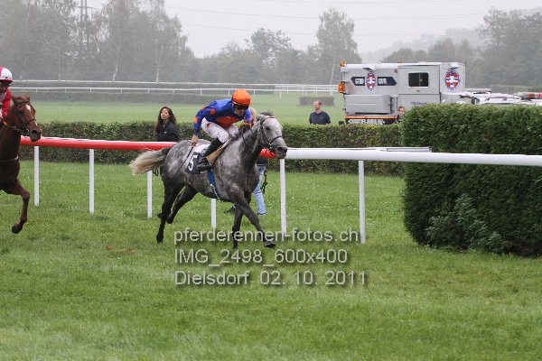 IMG 2498 600x400 prot
