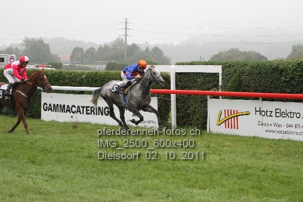 IMG 2500 600x400 prot