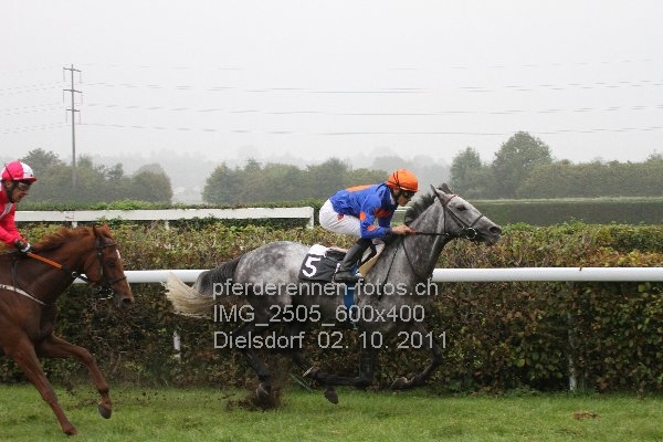 IMG 2505 600x400 prot