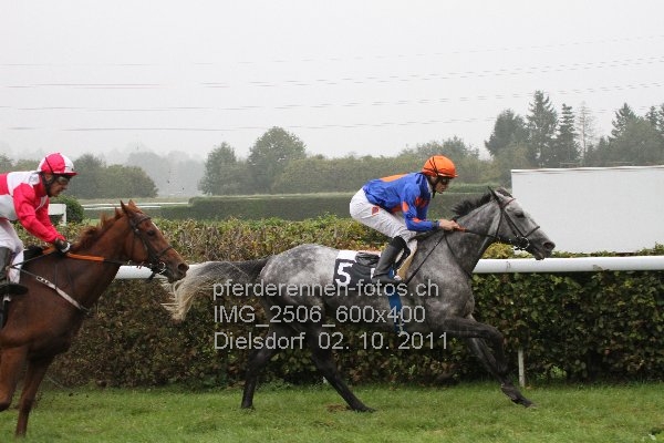 IMG 2506 600x400 prot