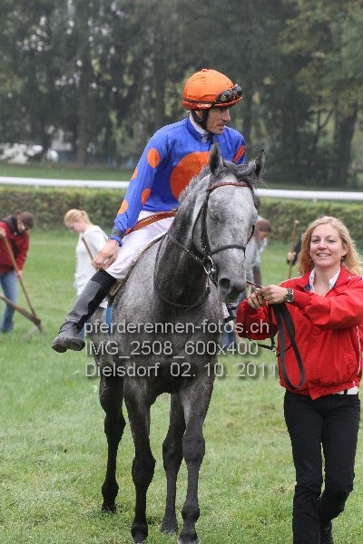 IMG 2508 600x400 prot