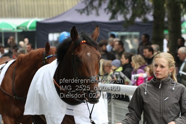 IMG 2525 600x400 prot