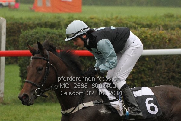 IMG 2568 600x400 prot