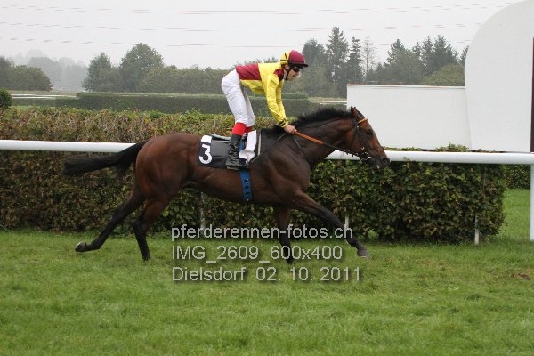 IMG 2609 600x400 prot