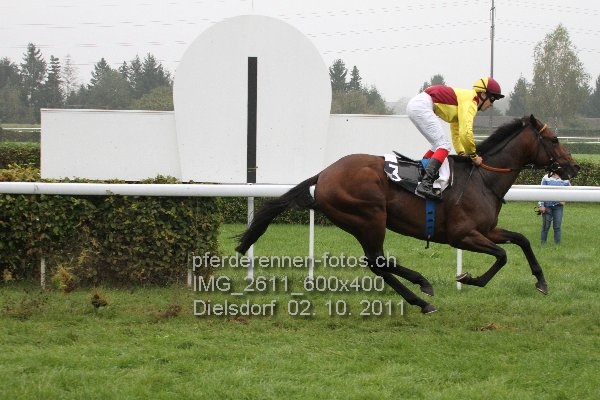 IMG 2611 600x400 prot