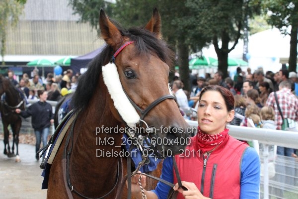 IMG 2631 600x400 prot