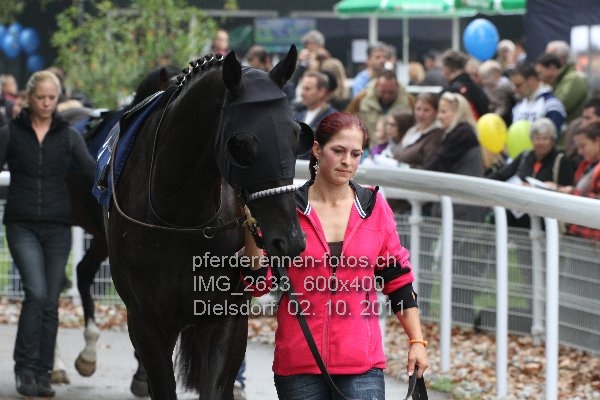 IMG 2633 600x400 prot