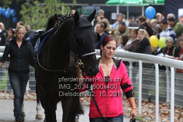 IMG 2634 600x400 prot