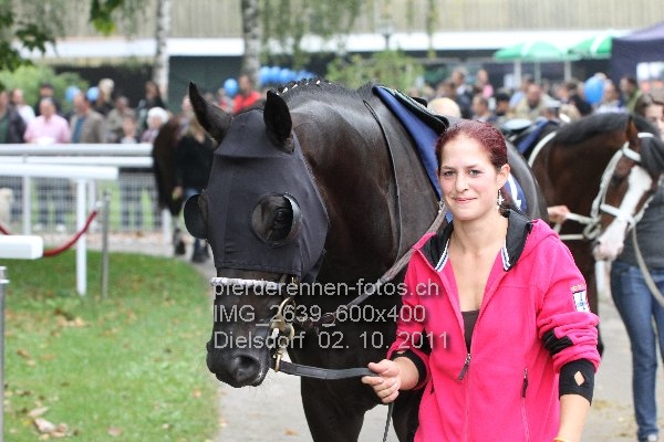 IMG 2639 600x400 prot