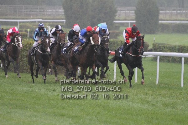 IMG 2709 600x400 prot