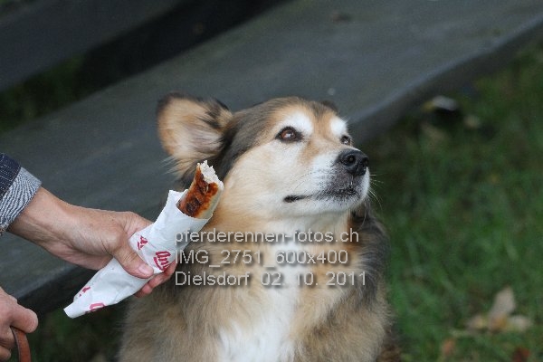 IMG 2751 600x400 prot