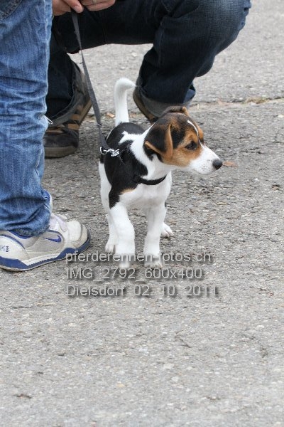 IMG 2792 600x400 prot