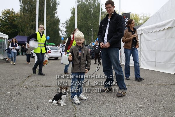 IMG 2796.1 600x400 prot