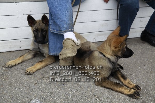 IMG 2801 600x400 prot
