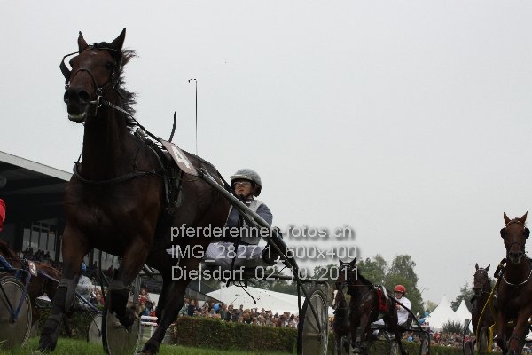 IMG 2827.1 600x400 prot