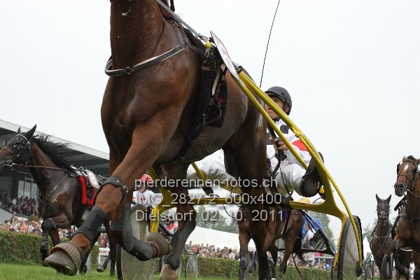 IMG 2827.2 600x400 prot