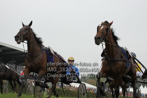 IMG 2828.3 600x400 prot