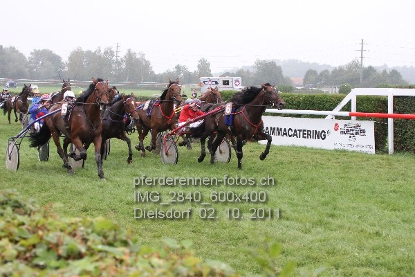 IMG 2840 600x400 prot