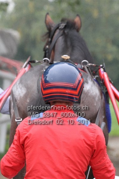 IMG 2847 600x400 prot