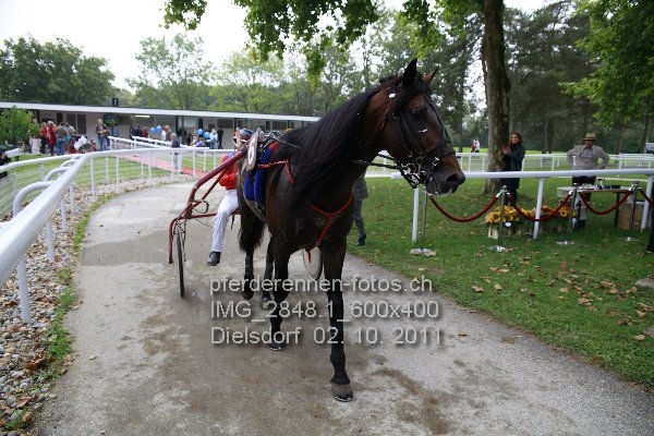 IMG 2848.1 600x400 prot