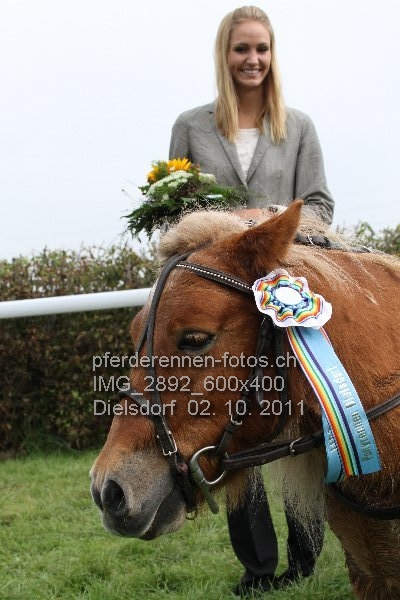 IMG 2892 600x400 prot