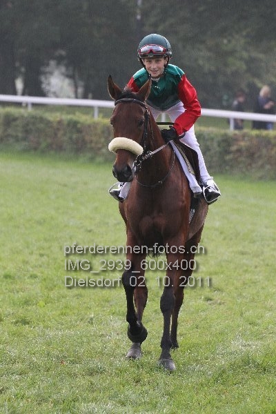 IMG 2939 600x400 prot