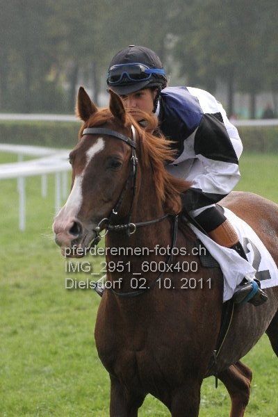 IMG 2951 600x400 prot