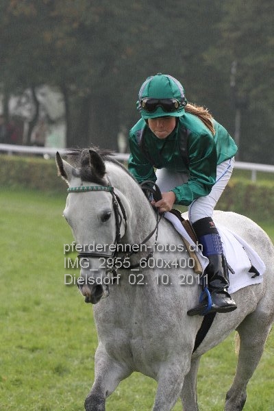 IMG 2955 600x400 prot