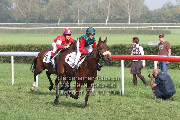 IMG 2979 600x400 prot