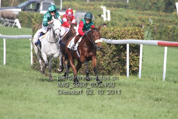 IMG 2986 600x400 prot