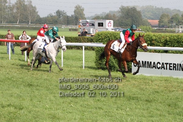 IMG 3005 600x400 prot