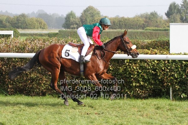 IMG 3008 600x400 prot