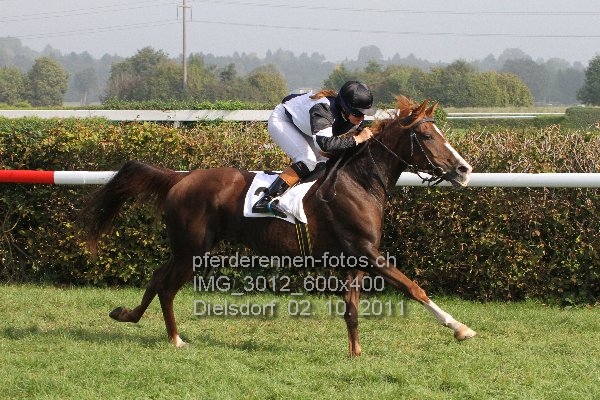 IMG 3012 600x400 prot