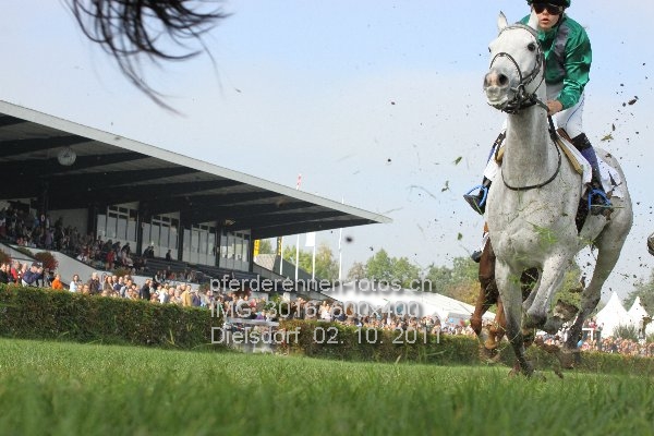 IMG 3016 600x400 prot
