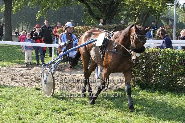 IMG 3057 600x400 prot
