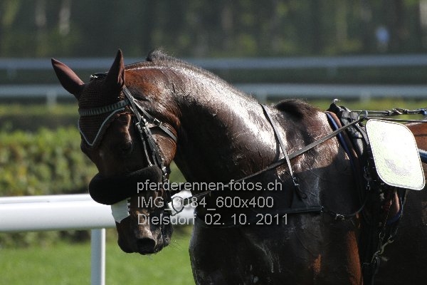 IMG 3084 600x400 prot