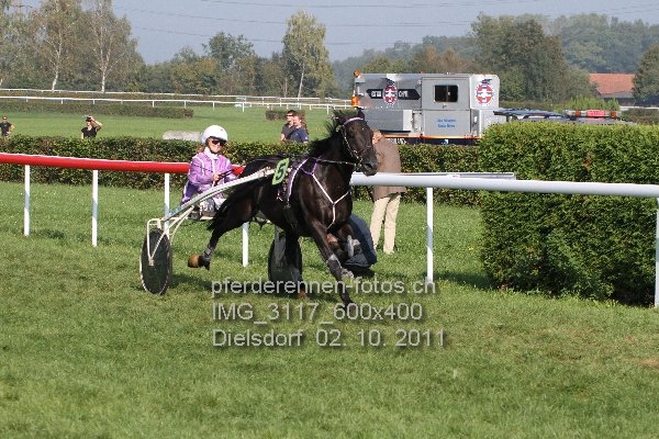 IMG 3117 600x400 prot