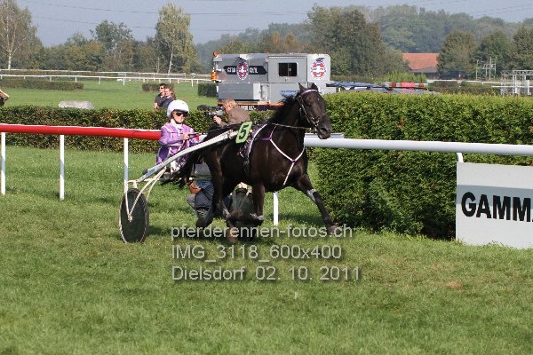 IMG 3118 600x400 prot