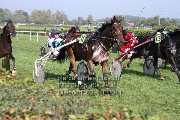 IMG 3125 600x400 prot
