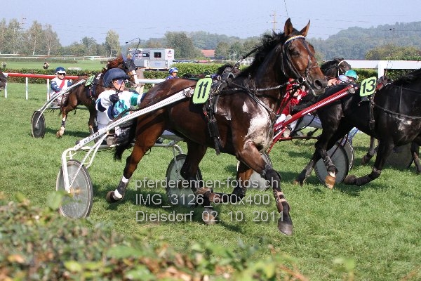 IMG 3126 600x400 prot