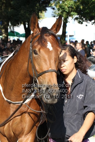 IMG 3162 600x400 prot
