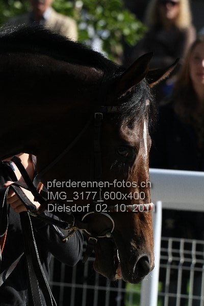 IMG 3177 600x400 prot