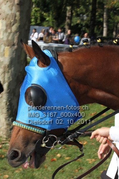 IMG 3187 600x400 prot